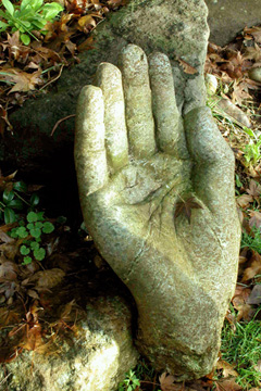 buddha.hand.1.72.jpg