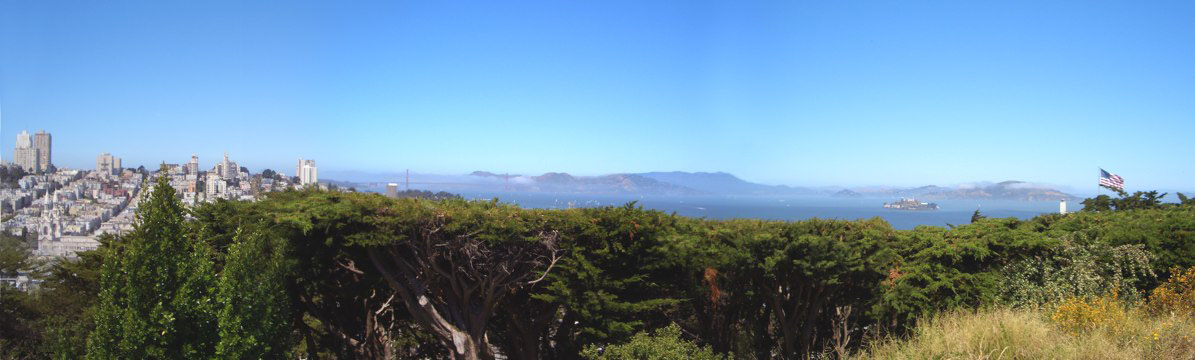 Coit,
                  San Francisco panorama