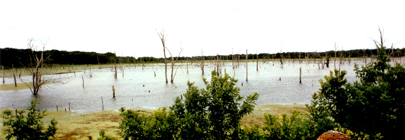 Lake
                Tawakani, East Texas
