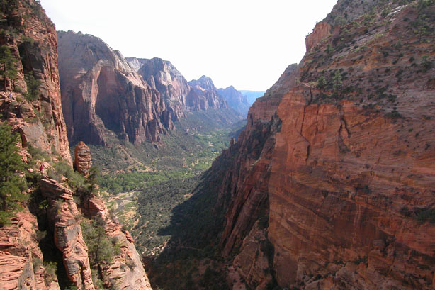 Zion
                    valley from Angel's Landing